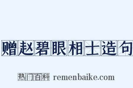 赠赵碧眼相士造句是什么意思的图片